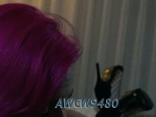 AWCW9480