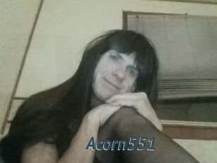Acorn551