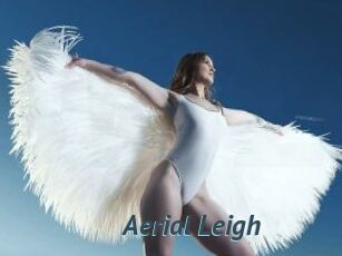 Aerial_Leigh