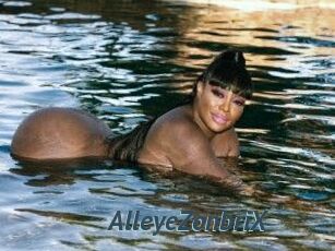 AlleyeZonbriX