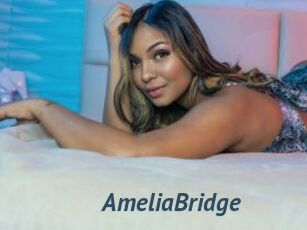 AmeliaBridge