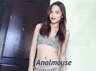 Anal_mouse