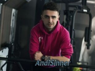 AndiSinner