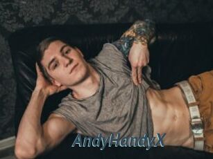 AndyHandyX