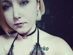 Aneko