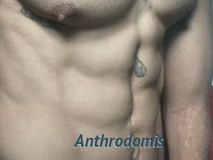 Anthrodomis
