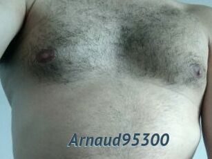 Arnaud95300