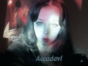 Accadavi
