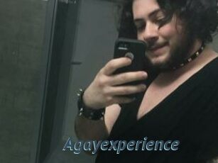 Agayexperience