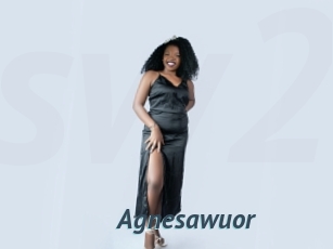 Agnesawuor