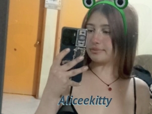 Aliceekitty