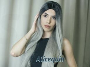 Alicequin