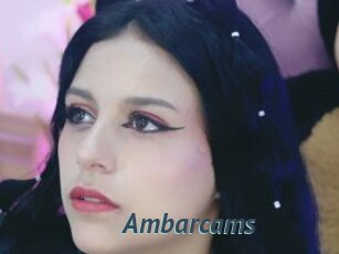 Ambarcams