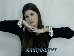 Amityburner