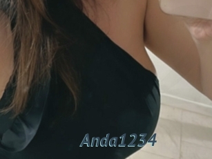 Anda1234