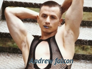 Andrew_falcon