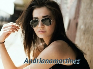 Andrianamartinez