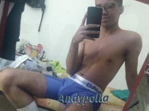 Andypolla