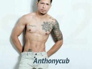 Anthonycub