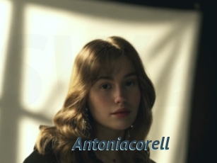 Antoniacorell