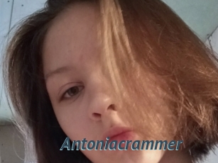 Antoniacrammer