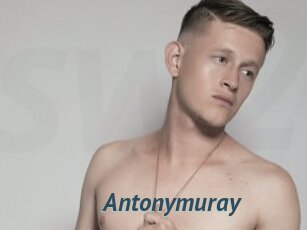 Antonymuray