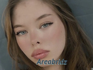 Areabridz