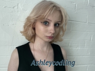 Ashleycodling