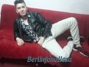 Berlinfonollosa