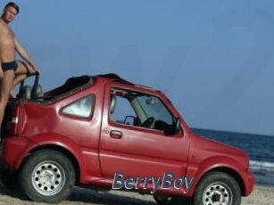 BerryBoy