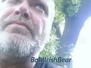 BoldIrishBear