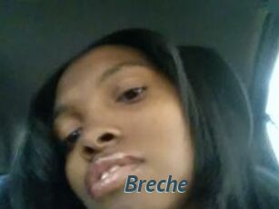 Breche