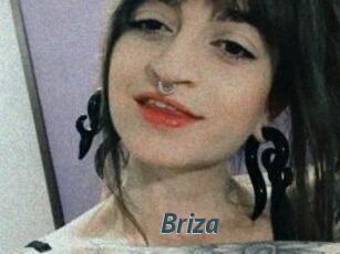 Briza