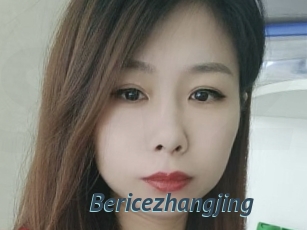 Bericezhangjing