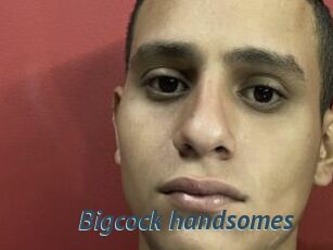 Bigcock_handsomes