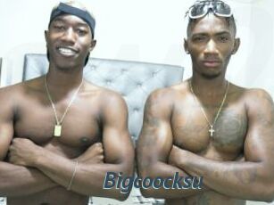 Bigcoocksu