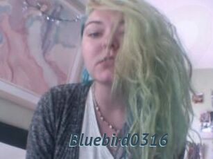 Bluebird0316