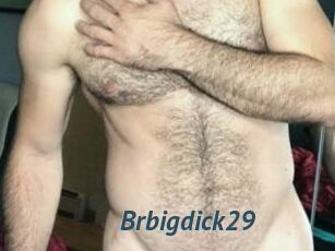 Brbigdick29