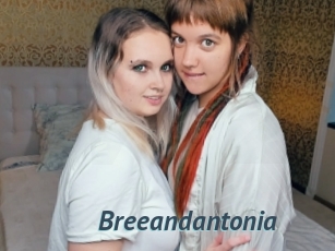 Breeandantonia