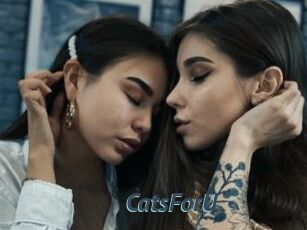 CatsForU