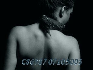 C86987-07105003