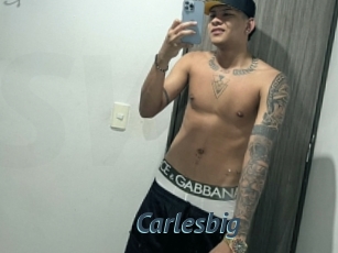 carlesbig Sex Webcam 20