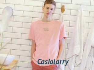Casiolarry