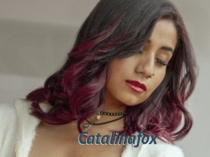 Catalinafox