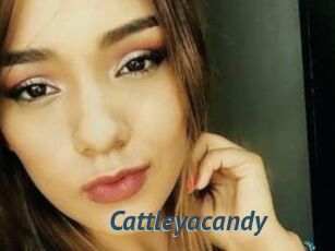 Cattleyacandy