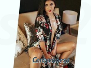 Cercyvanesa