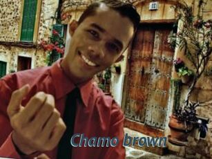 Chamo_brown