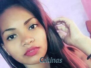 Cokinas