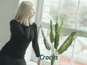 Crocus