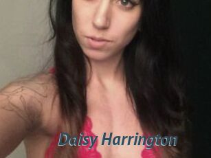 Daisy_Harrington